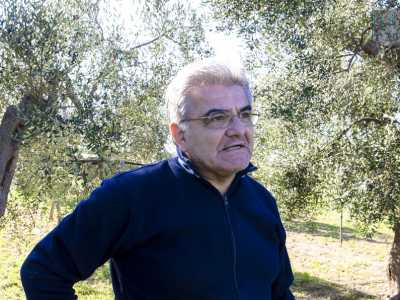 Il 70enne Giuseppe, indaffarato nella raccolta delle olive